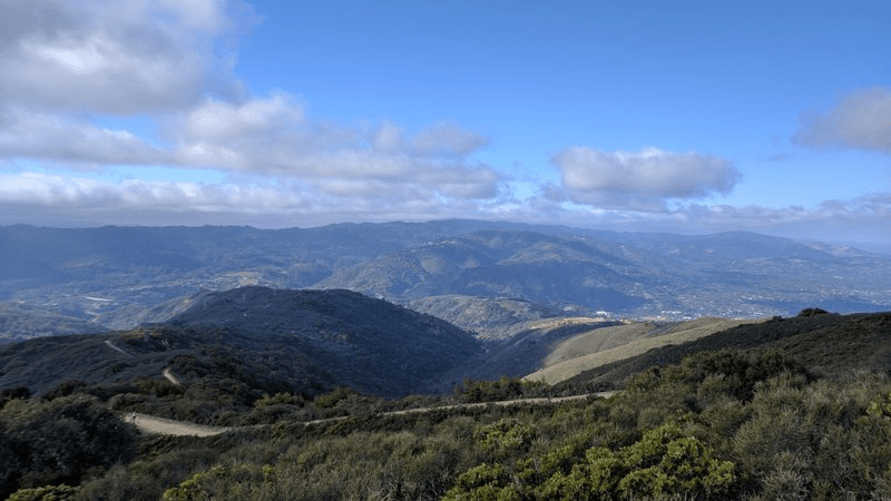 Author’s Corner: First-Person Account of Exploring Automated Clinical Concordance